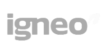 logo-nova-igneo