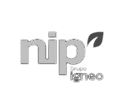 logo-nova-nip